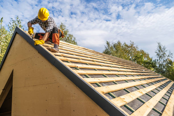 Best Gutter Installation and Roofing  in New Haven, WV