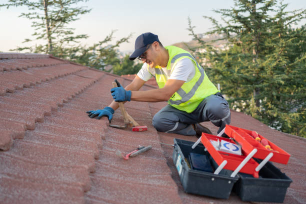 Best Roof Maintenance Services  in New Haven, WV