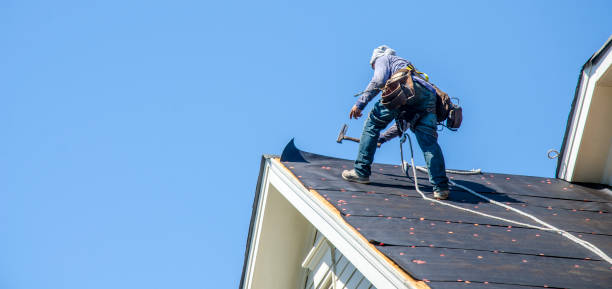 Best Emergency Roof Repair  in New Haven, WV